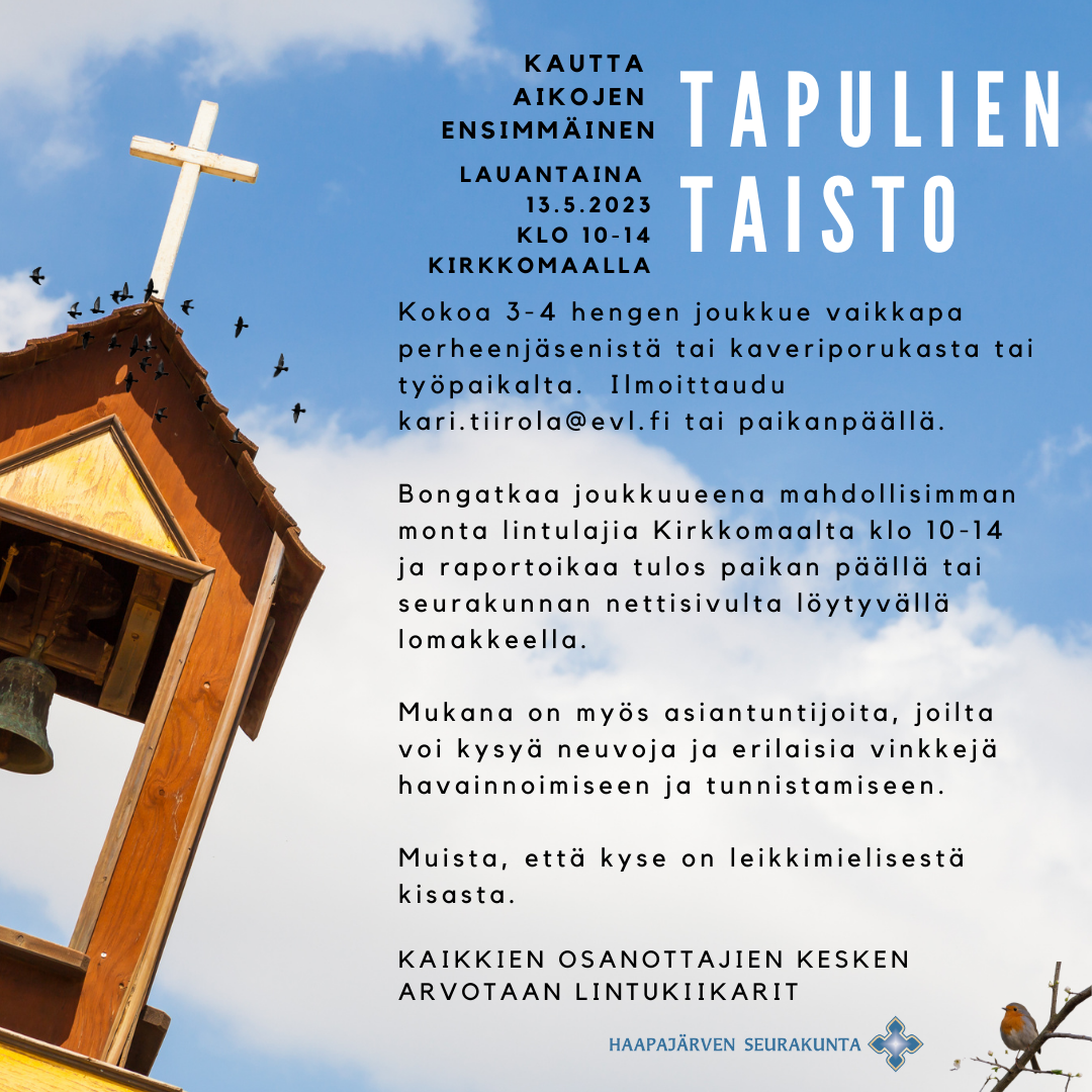 Kellotapuli ja lintuja, ohjeet Tapulien taistoon